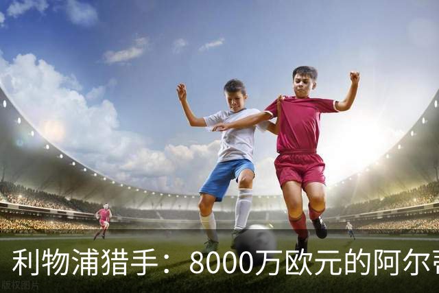 利物浦猎手：8000万欧元的阿尔蒂米拉，值得吗？